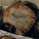 Illustration for article titled iWestworld /i1x05: Contrapasso discussion/reaction thread